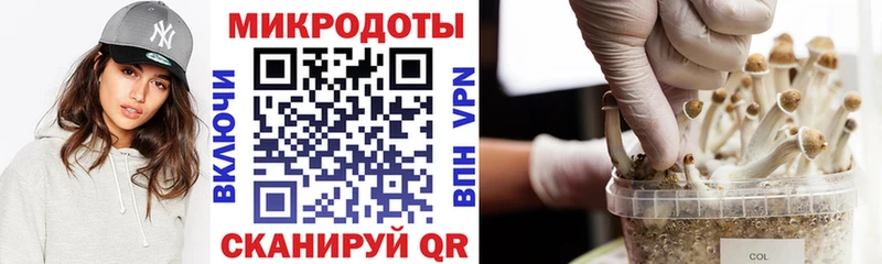 Псилоцибиновые грибы ЛСД  Дзержинск 