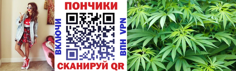 цена   Дзержинск  Бошки Шишки ГИДРОПОН 